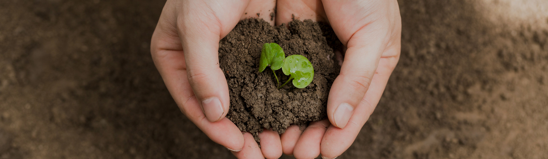 社會(huì)責(zé)任